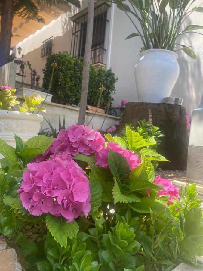 Casa Los Encinares Κόρδοβα Εξωτερικό φωτογραφία