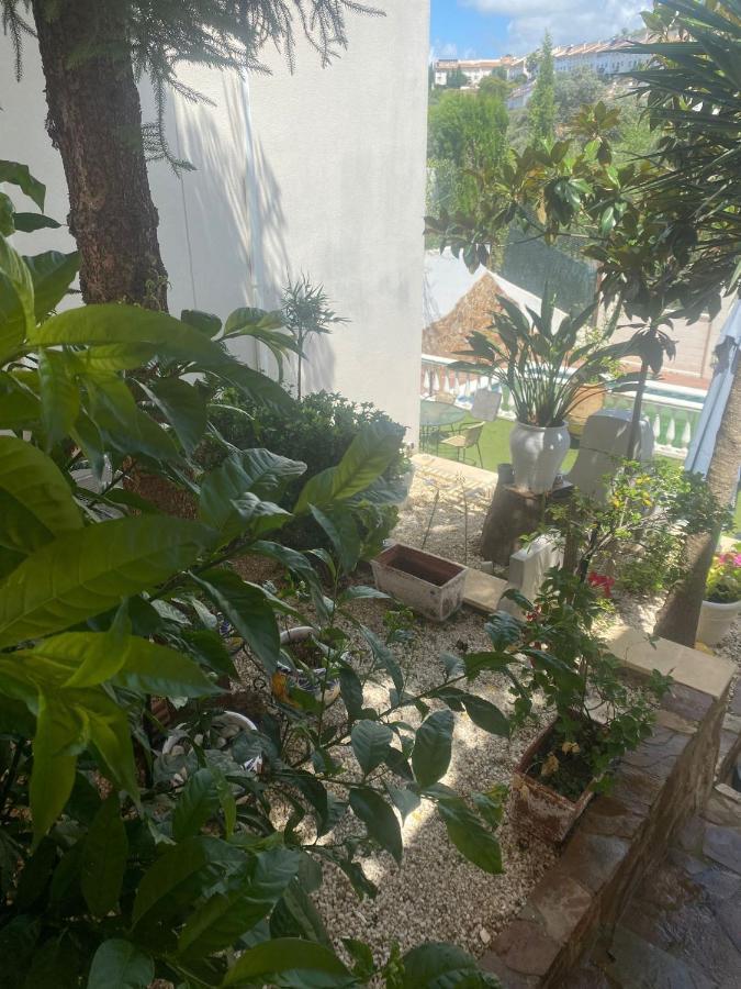 Casa Los Encinares Κόρδοβα Εξωτερικό φωτογραφία